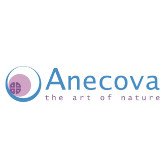 Logo firmy Anecova